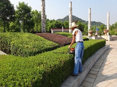 韶關(guān)市專業(yè)園林綠化 從草坪養(yǎng)護(hù)到綠化工程的全方位服務(wù)