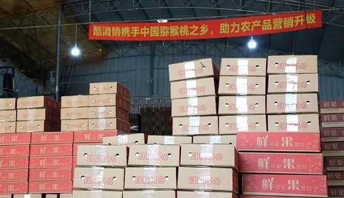 酷消銷再獲信任，金融中介服務將助力天水花牛蘋果營銷新篇章